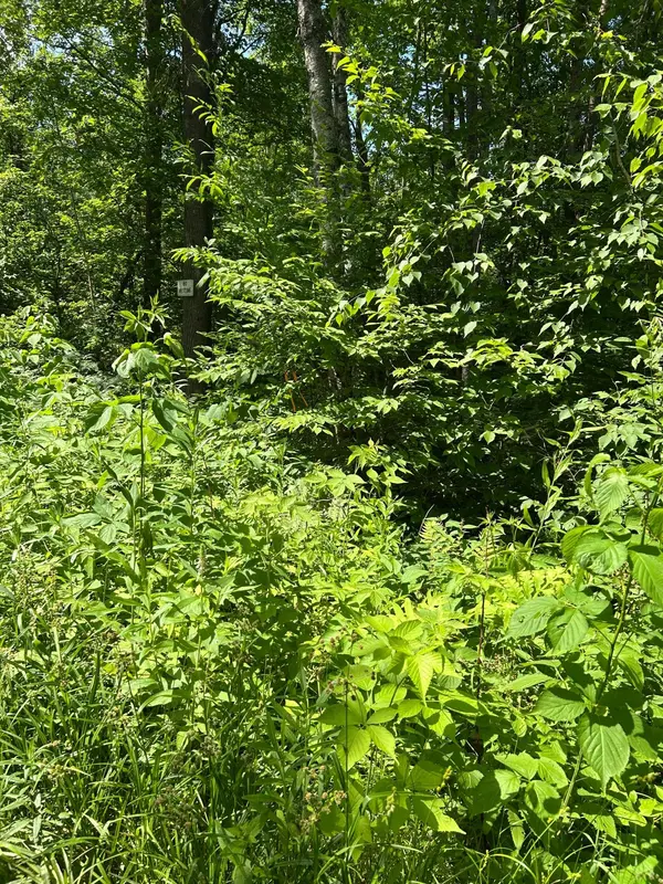 TBD1 Duncan RD, Sandstone, MN 55072