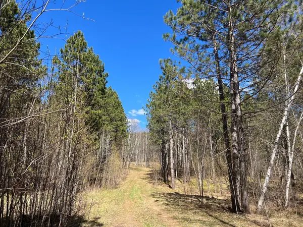 TBD (164.21AC) Maple Grove RD, Cloquet, MN 55720