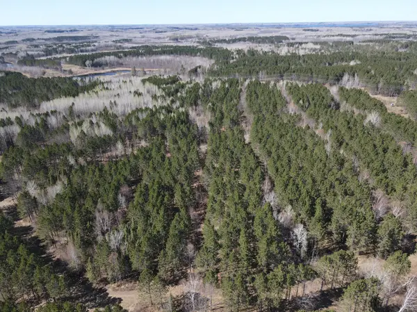 TBD (164.21AC) Maple Grove RD, Cloquet, MN 55720