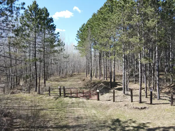 TBD (164.21AC) Maple Grove RD, Cloquet, MN 55720
