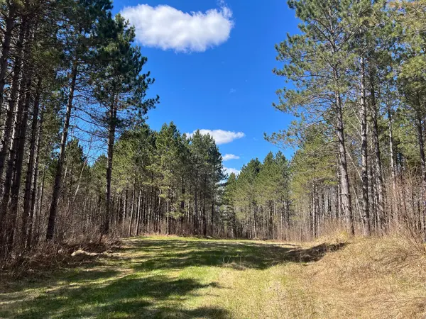 TBD (164.21AC) Maple Grove RD, Cloquet, MN 55720