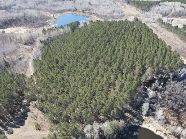 TBD (280AC) Maple Grove RD, Cloquet, MN 55720