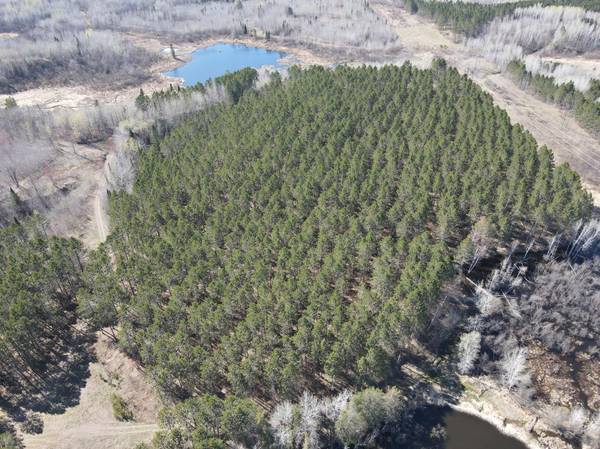TBD (280AC) Maple Grove RD, Cloquet, MN 55720