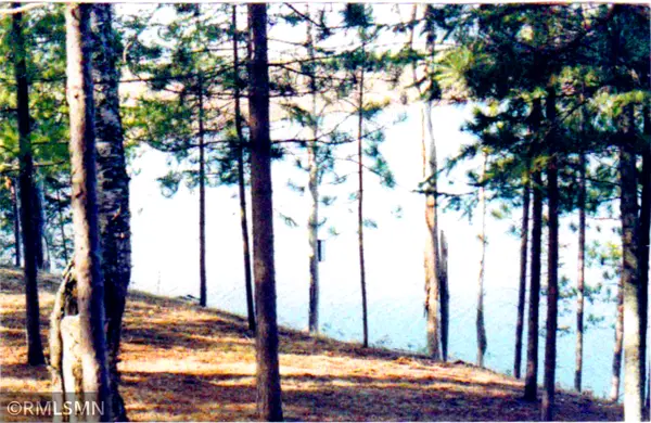 5xxxx Moose Bay Trail, Northome, MN 56661
