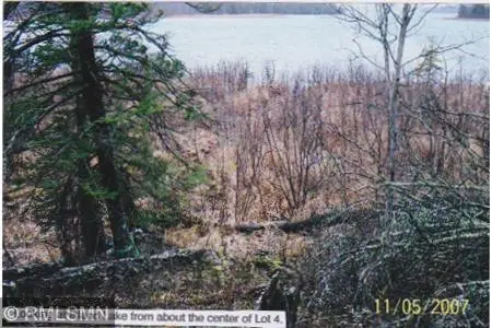 5xxxx Moose Bay Trail, Northome, MN 56661