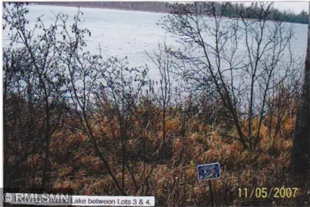 5xxxx Moose Bay Trail, Northome, MN 56661