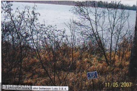5xxxx Moose Bay Trail, Northome, MN 56661