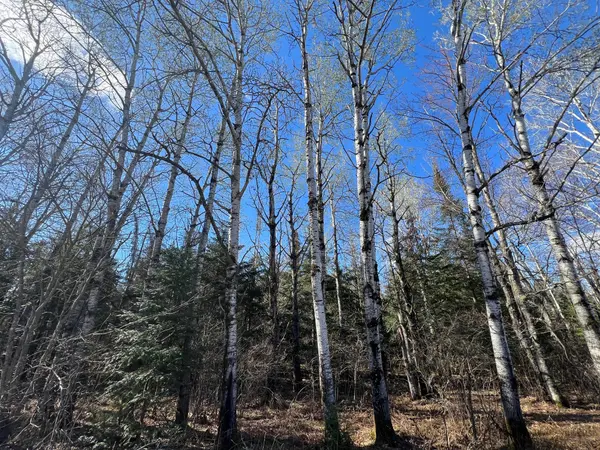 Parcel B Township Road D, Wawina, MN 55736