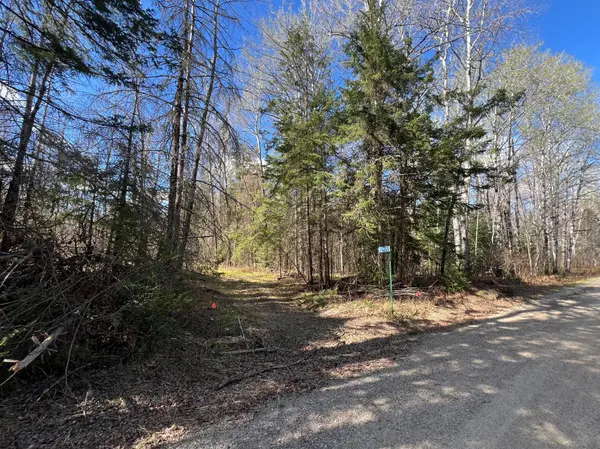 12905 Township Road D, Wawina, MN 55736