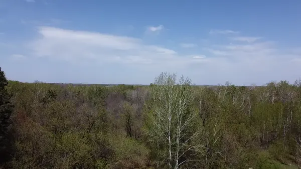 010071303 State Highway 210, Aitkin, MN 56431