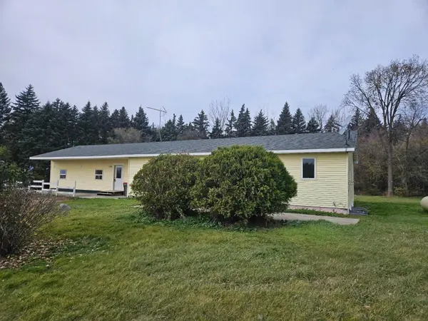 20575 Tower Hill RD SW, Brandon, MN 56315