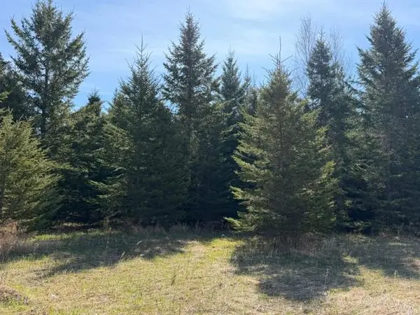 TBD 66th AVE NE, Remer, MN 56672