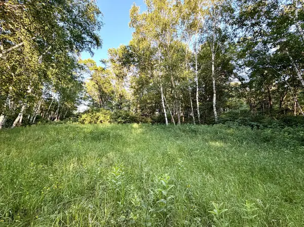 L18B1 Acorn Ridge RD NW, Bemidji, MN 56601