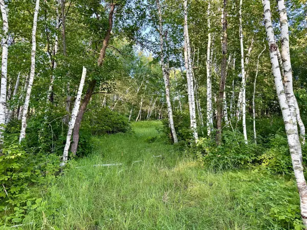 L18B1 Acorn Ridge RD NW, Bemidji, MN 56601