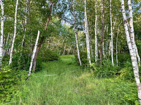 L18B1 Acorn Ridge RD NW, Bemidji, MN 56601