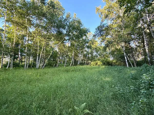 L18B1 Acorn Ridge RD NW, Bemidji, MN 56601