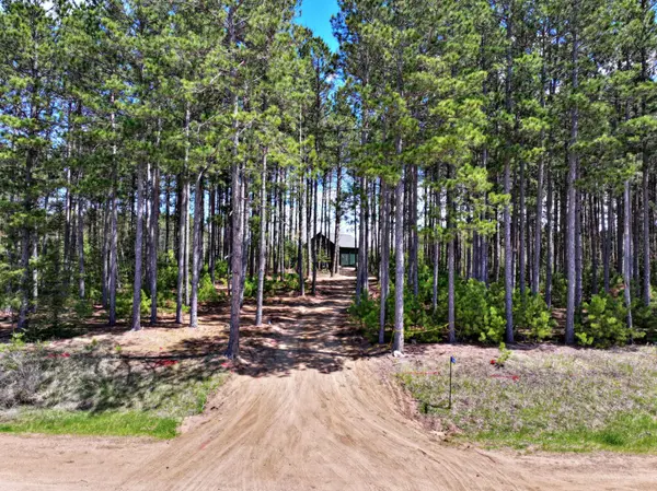 19616 Eagle Haven Trl, Nevis, MN 56467