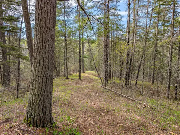 992 Nemadji River RD, Holyoke, MN 55749