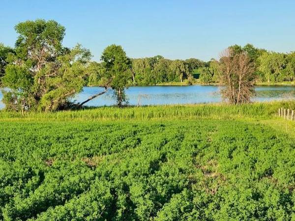 XXXX Co-Rd 108 NW, Brandon, MN 56315