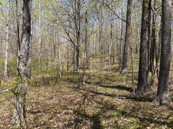 854x W Chub Lake Rd, Carlton, MN 55718