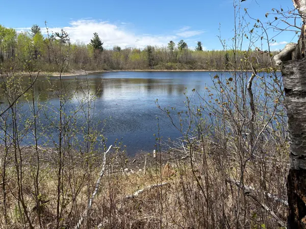 854x W Chub Lake Rd, Carlton, MN 55718
