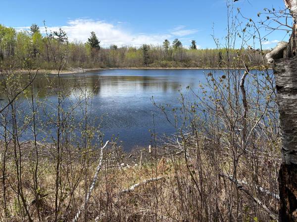854x W Chub Lake Rd, Carlton, MN 55718