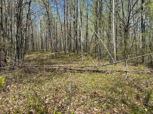 854x W Chub Lake Rd, Carlton, MN 55718