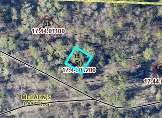 TBD Necktie LN, Lake George, MN 56458