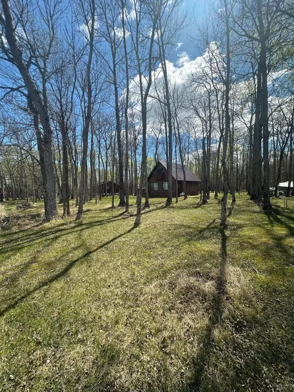 17413 E Pine DR NW, Angle Inlet, MN 56711