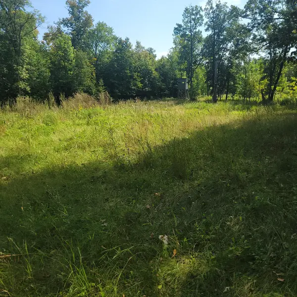 TBD Jeff Lake Road, Richville, MN 56576