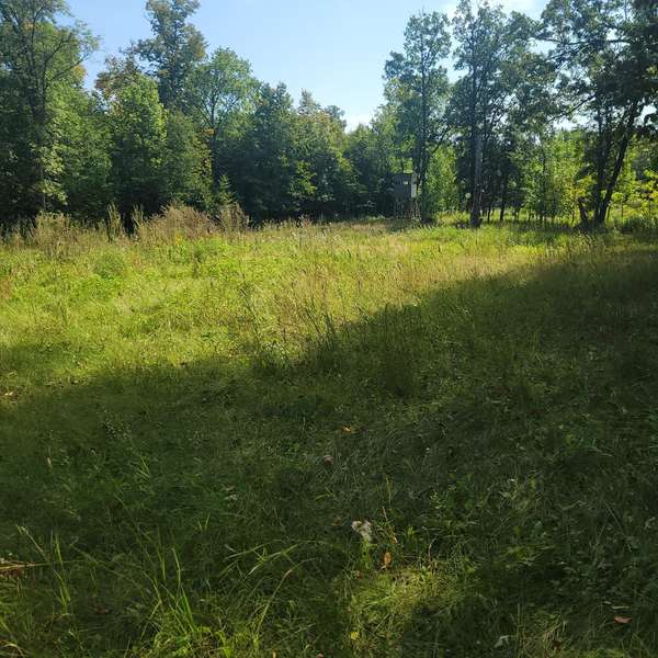 TBD Jeff Lake Road, Richville, MN 56576
