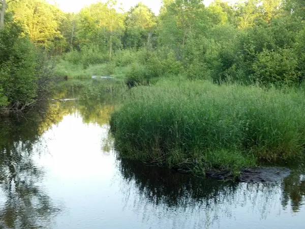 10005 Rice RD, Brook Park, MN 55007