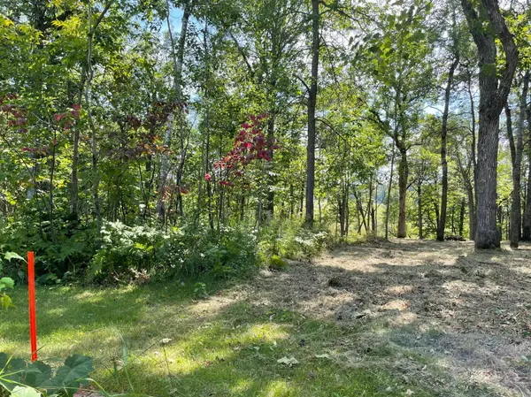TBD Wedgewood RD NW, Walker, MN 56484