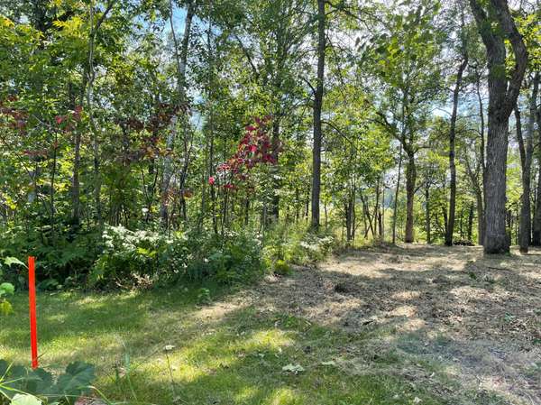 TBD Wedgewood RD NW, Walker, MN 56484