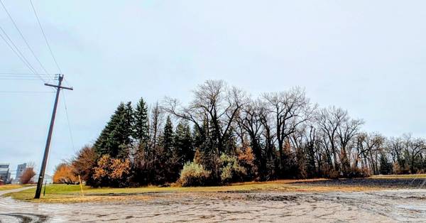 TBD Main, Saint Thomas, ND 58276