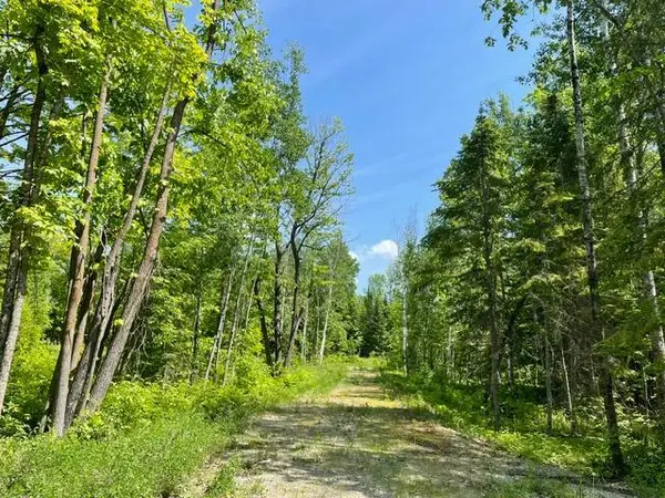 11847 12th AVE NE, Federal Dam, MN 56641