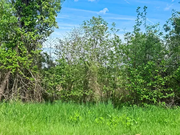 0000 Paradise TRL NW, Isanti, MN 55040