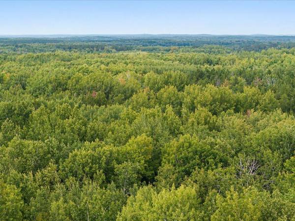 Lot I Sandbar Lane, Merrifield, MN 56465