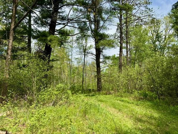XYZ County Road 39, Willow River, MN 55795