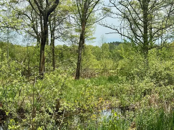 XYZ Dailey Lake Road, Willow River, MN 55795
