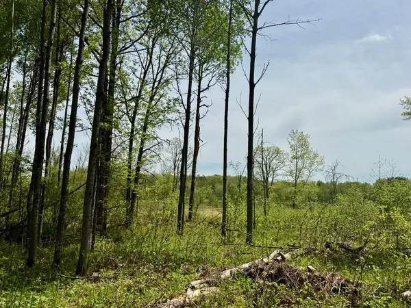 XYZ Dailey Lake Road, Willow River, MN 55795