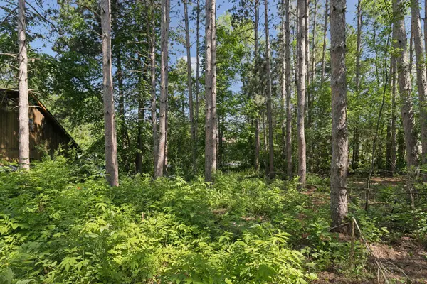 TBD Krattley LN N, North Hudson, WI 54016