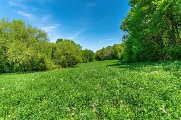460th Ave, Brandon, MN 56315