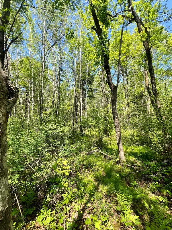 TBD County Rd 67, Grand Rapids, MN 55744