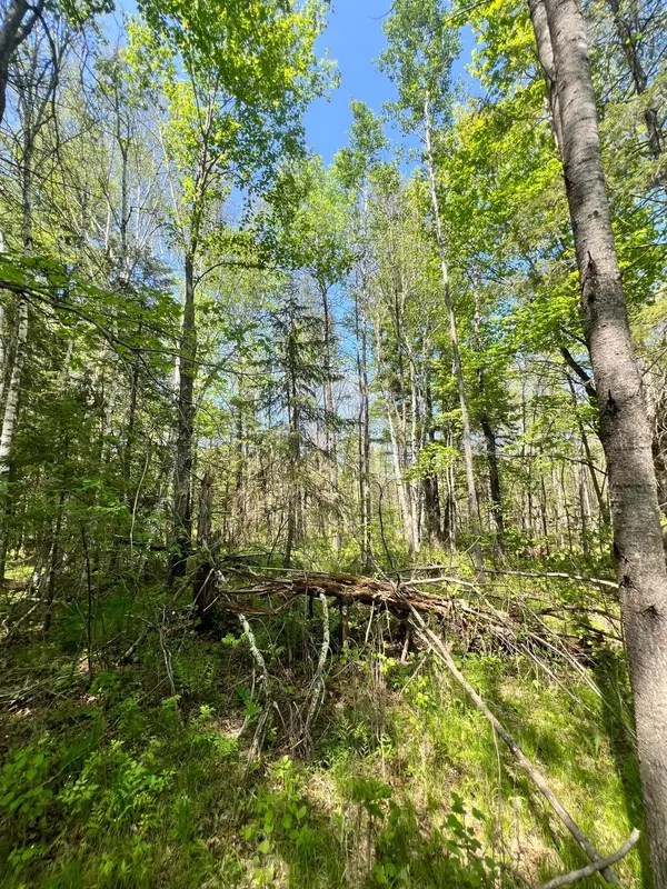 XXX Co Rd 67, Grand Rapids, MN 55744