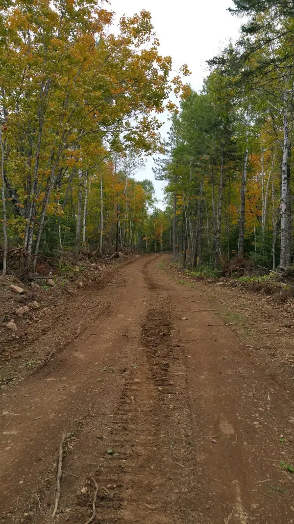 5241 Hut Two RD, Finland, MN 55603