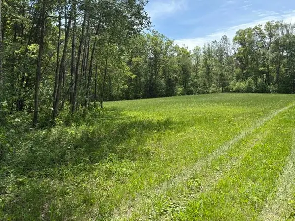 TBD 226th, Mcgregor, MN 56431