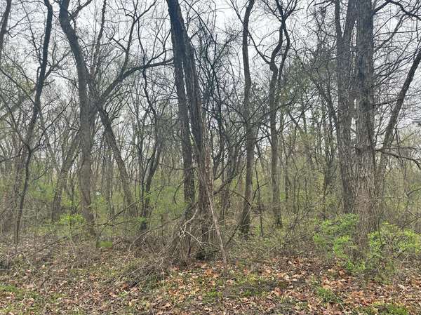 Lot 0 Catfish DR, Trempealeau, WI 54661