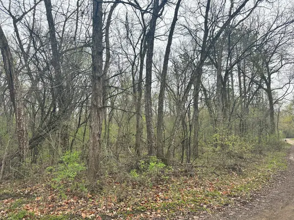 Lot 0 Catfish DR, Trempealeau, WI 54661