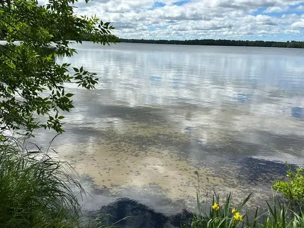 21888 Shallow Lake Road, Warba, MN 55793